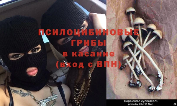 ALPHA-PVP Няндома