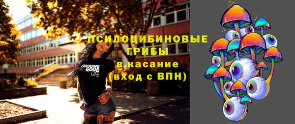винт Алексин