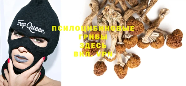 ALPHA PVP Абдулино