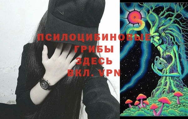 СК Алзамай