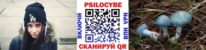 Псилоцибиновые грибы GOLDEN TEACHER  Куровское 